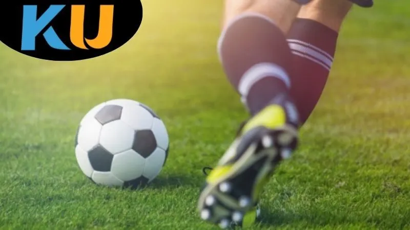 Giới thiệu tổng quan